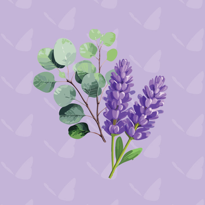 Eucalyptus Lavender