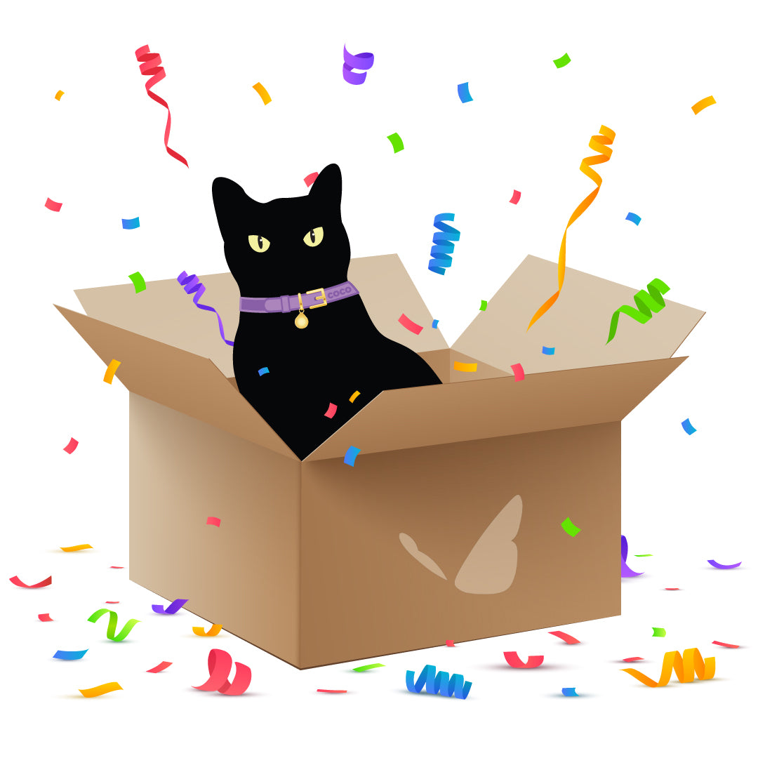 Debra's Mystery Box